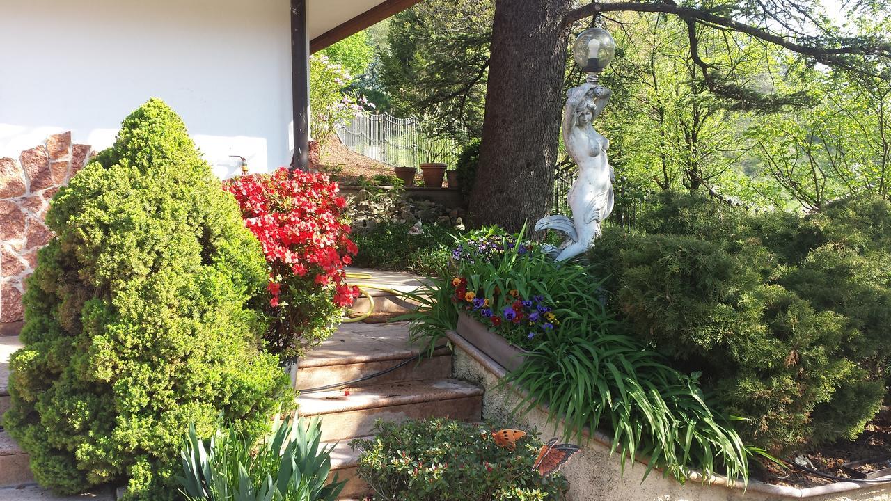 B&B Al Cedro Sporminore Экстерьер фото